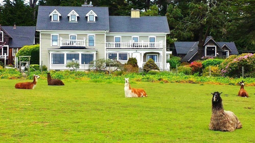 Glendeven Inn Little River Экстерьер фото